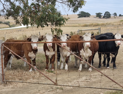 Guide to manage on-farm waste in the livestock sector