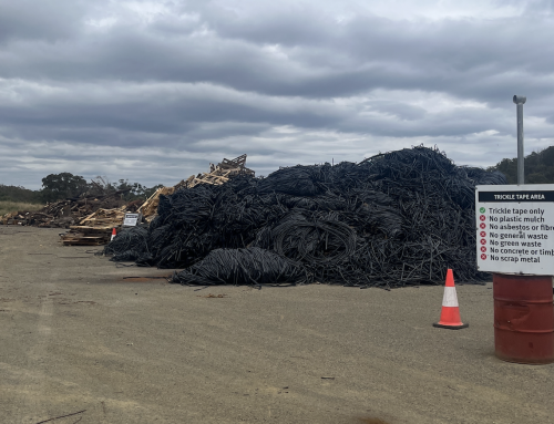 Irrigation drip tape recycling pilot