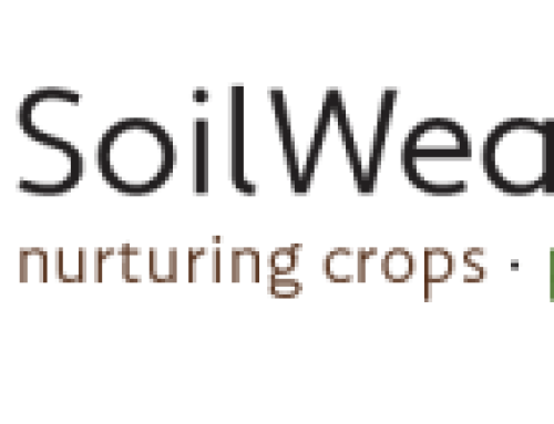 Soil Wealth ICP